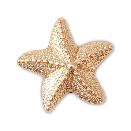 Crocs™ Jibbitz Gold Star Fish 